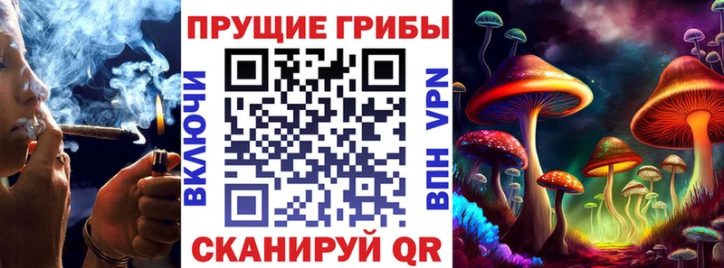 Псилоцибиновые грибы GOLDEN TEACHER  Купить где  Гурьевск 