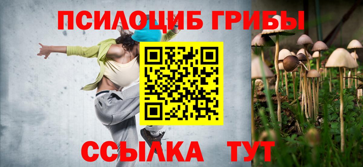 купить   Псилоцибиновые грибы Magic Shrooms  Вход с VPN  Гурьевск  Галлюциногенные грибы прущие грибы 